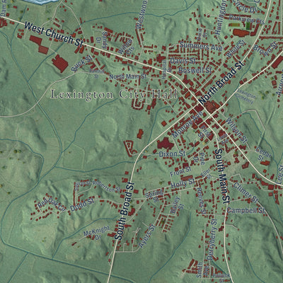 Close-up of the map of Lexington, Tennessee print showing street and building detail