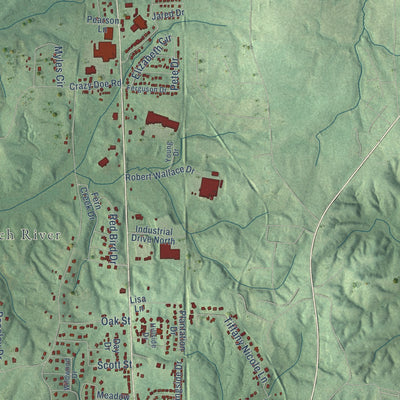Second close-up of the map of Lexington, Tennessee print showing more streets and buildings