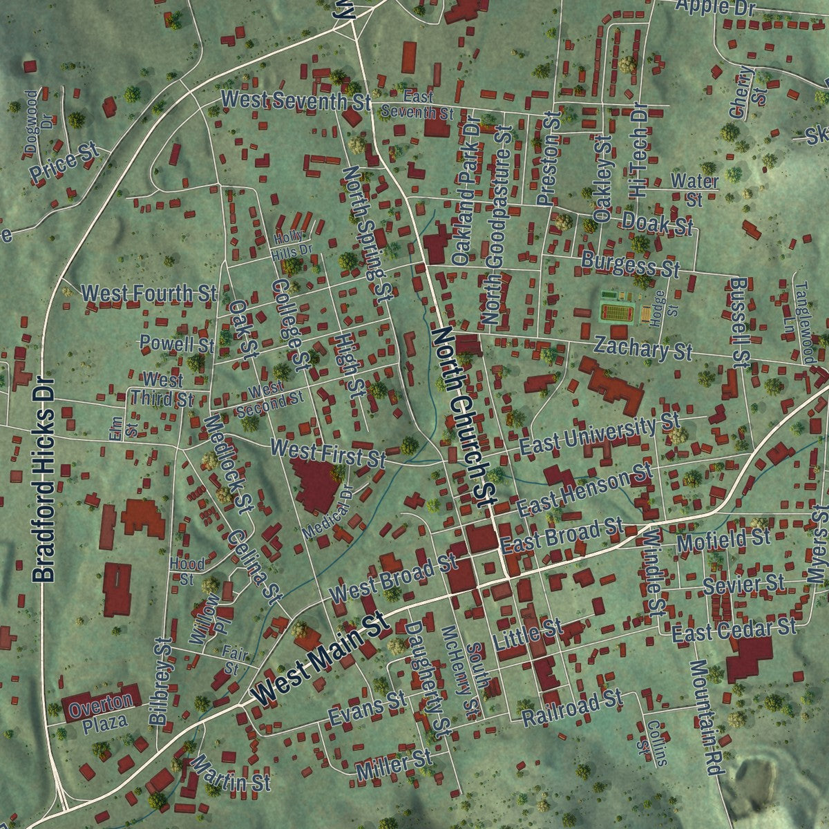 Close-up of the map of Livingston, Tennessee print showing street and building detail