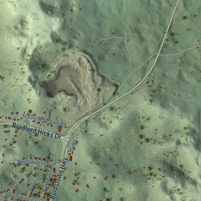 Second close-up of the map of Livingston, Tennessee print showing more streets and buildings