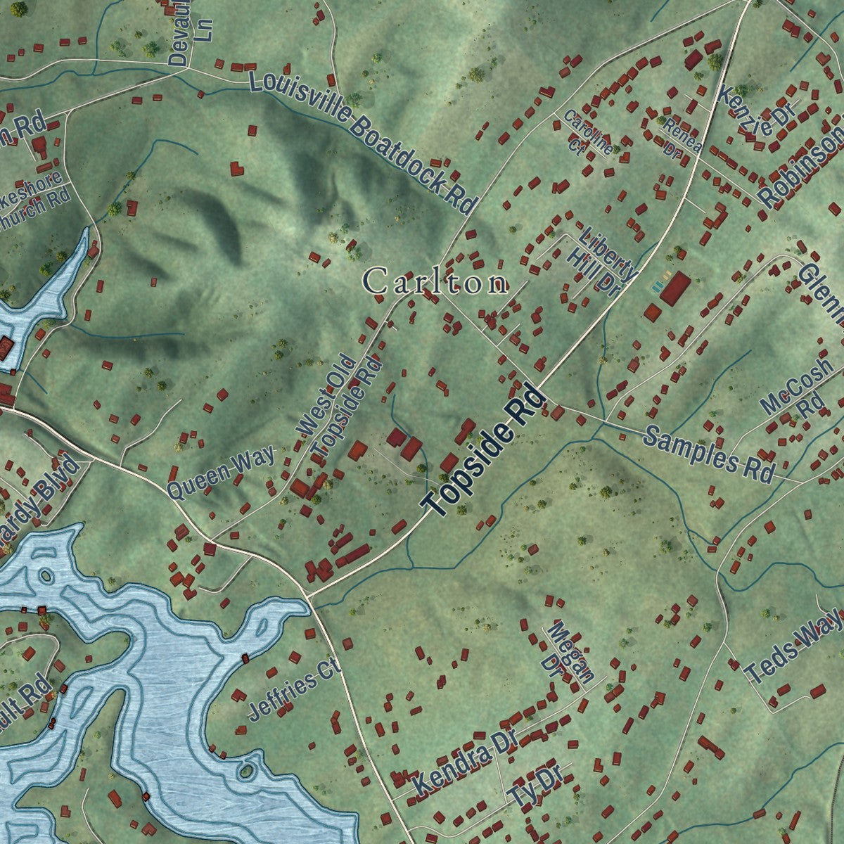 Close-up of the map of Louisville, Tennessee print showing street and building detail