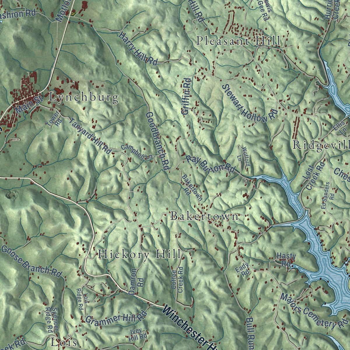 Close-up of the map of Lynchburg, Moore County, Tennessee print showing street and building detail