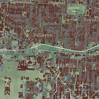 Close-up of the map of Memphis, Tennessee print showing street and building detail