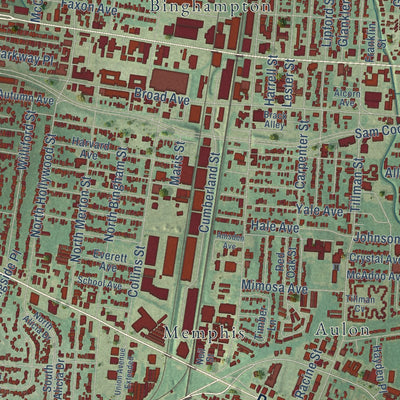 Close-up of the map of Midtown, Memphis, Tennessee print showing street and building detail