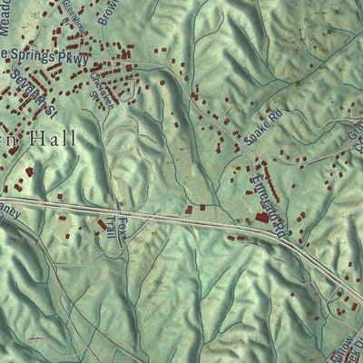 Close-up of the map of Mosheim, Tennessee print showing street and building detail