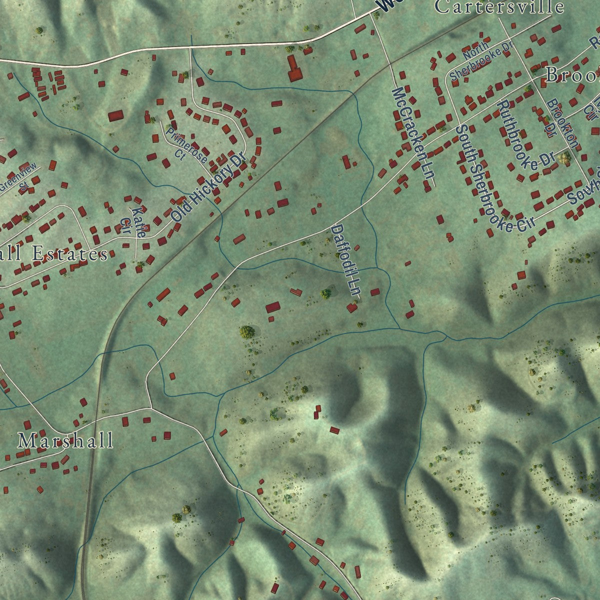 Second close-up of the map of Mount Carmel, Tennessee print showing more streets and buildings