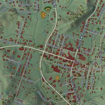 Close-up of the map of Mountain City, Tennessee print showing street and building detail