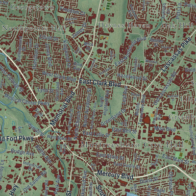 Close-up of the map of Murfreesboro, Tennessee print showing street and building detail