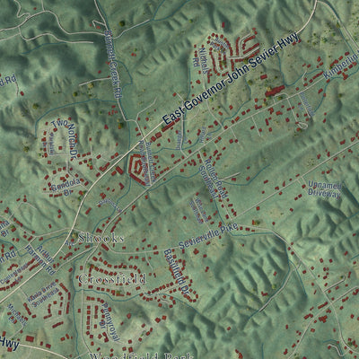Close-up of the map of New Hopewell, Tennessee print showing street and building detail