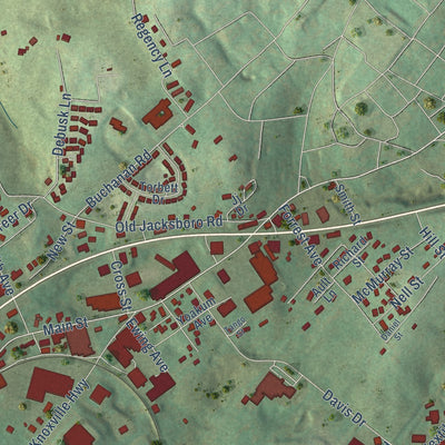Close-up of the map of New Tazewell, Tennessee print showing street and building detail