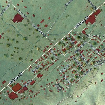 Close-up of the map of Niota, Tennessee print showing street and building detail