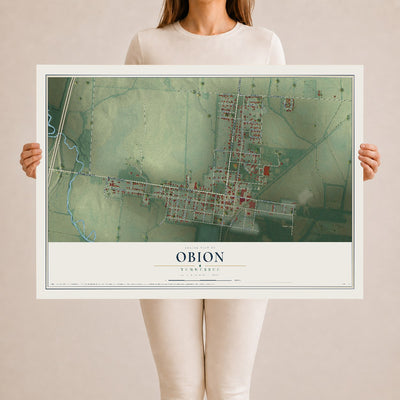 Map of Obion, Tennessee, 24 x 36 inch unframed archival matte print