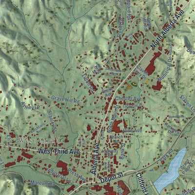 Close-up of the map of Oneida, Tennessee print showing street and building detail
