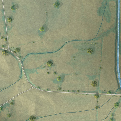 Close-up of the map of Palmersville, Tennessee print showing street and building detail