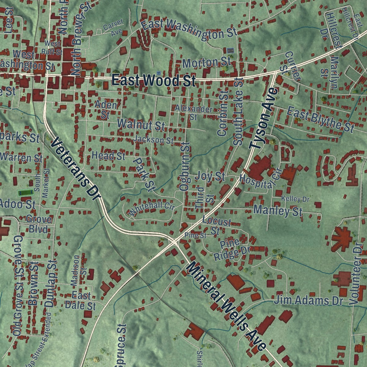 Close-up of the map of Paris, Tennessee print showing street and building detail