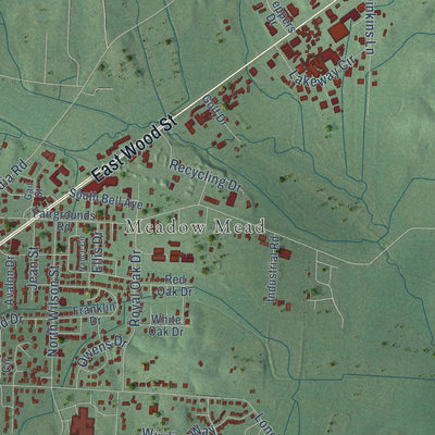Second close-up of the map of Paris, Tennessee print showing more streets and buildings
