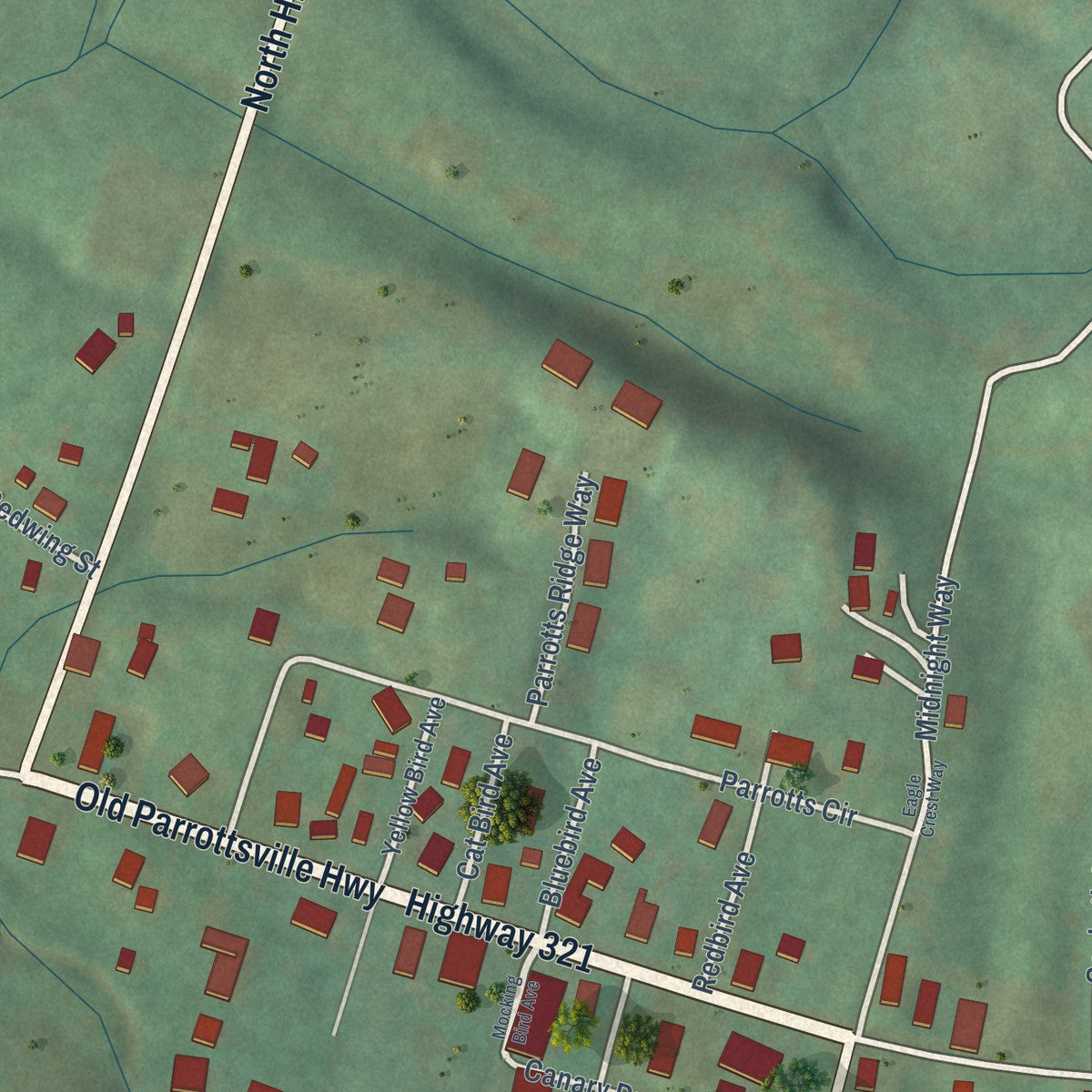 Close-up of the map of Parrottsville, Tennessee print showing street and building detail