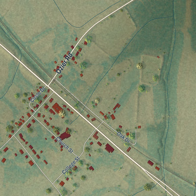 Close-up of the map of Pinson, Tennessee print showing street and building detail
