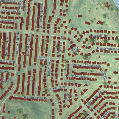 Close-up of the map of Pisgah, Tennessee print showing street and building detail