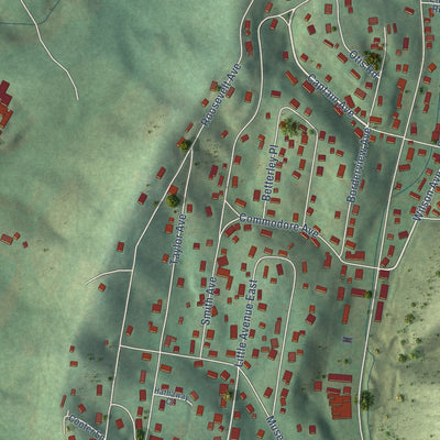 Close-up of the map of Biltmore, Tennessee print showing street and building detail