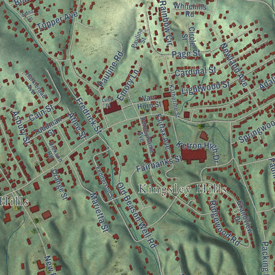 Close-up of the map of Bloomingdale, Tennessee print showing street and building detail