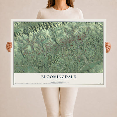 Map of Bloomingdale, Tennessee, 24 x 36 inch unframed archival matte print