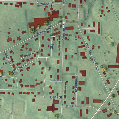 Close-up of the map of Gray, Tennessee print showing street and building detail