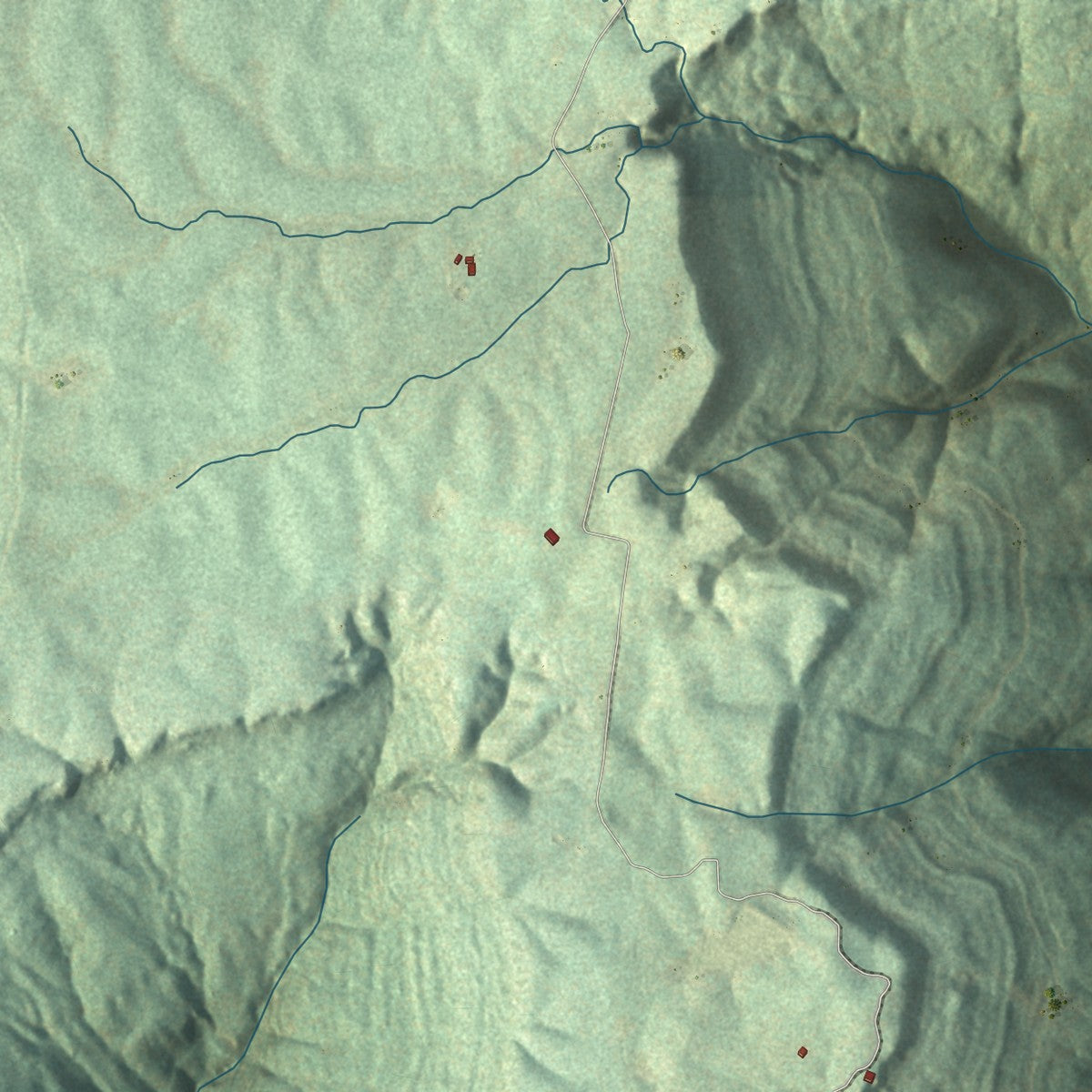Second close-up of the map of Pelham, Tennessee print showing more streets and buildings