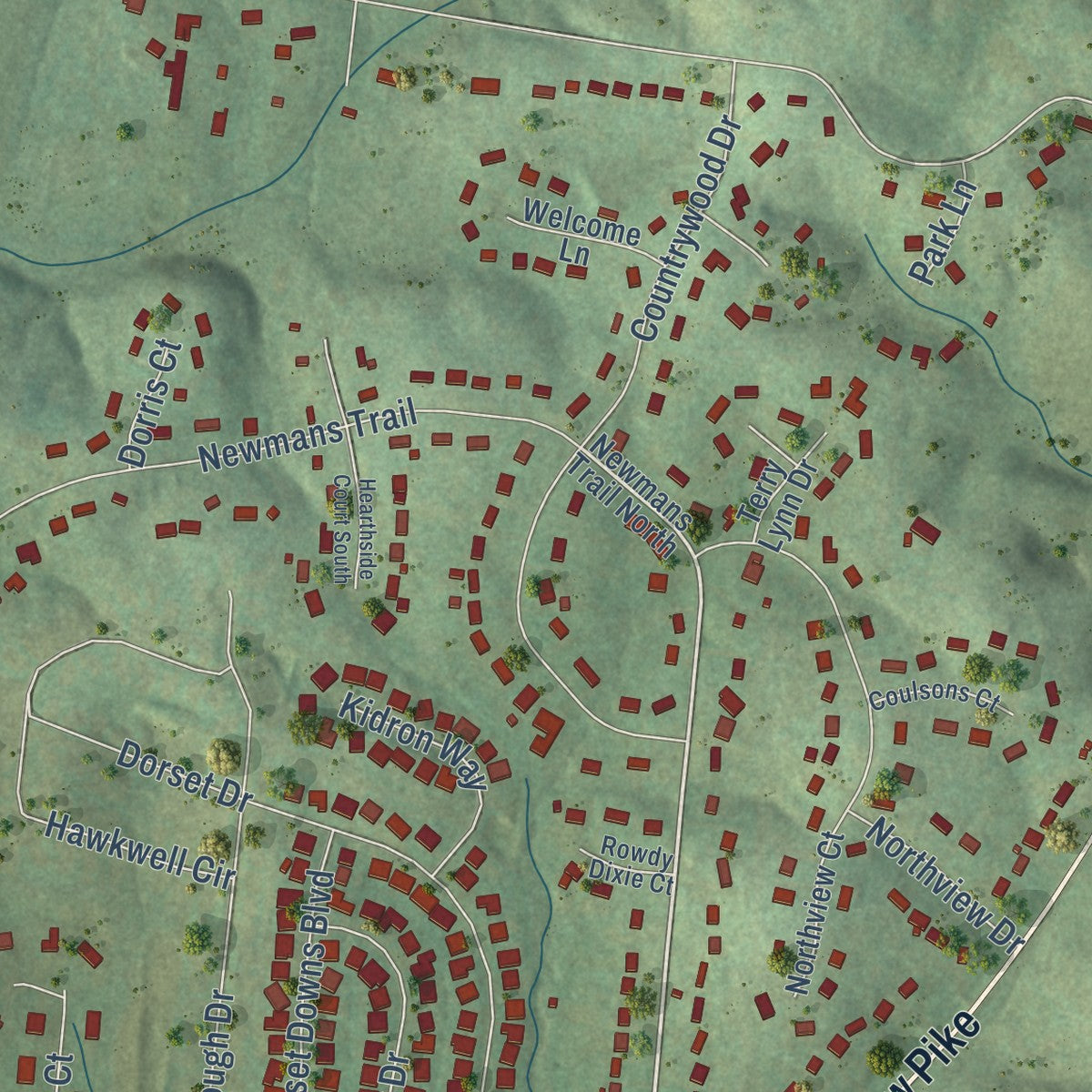 Close-up of the map of Shackle Island, Tennessee print showing street and building detail