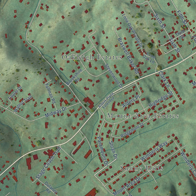 Close-up of the map of Walnut Hill, Tennessee print showing street and building detail