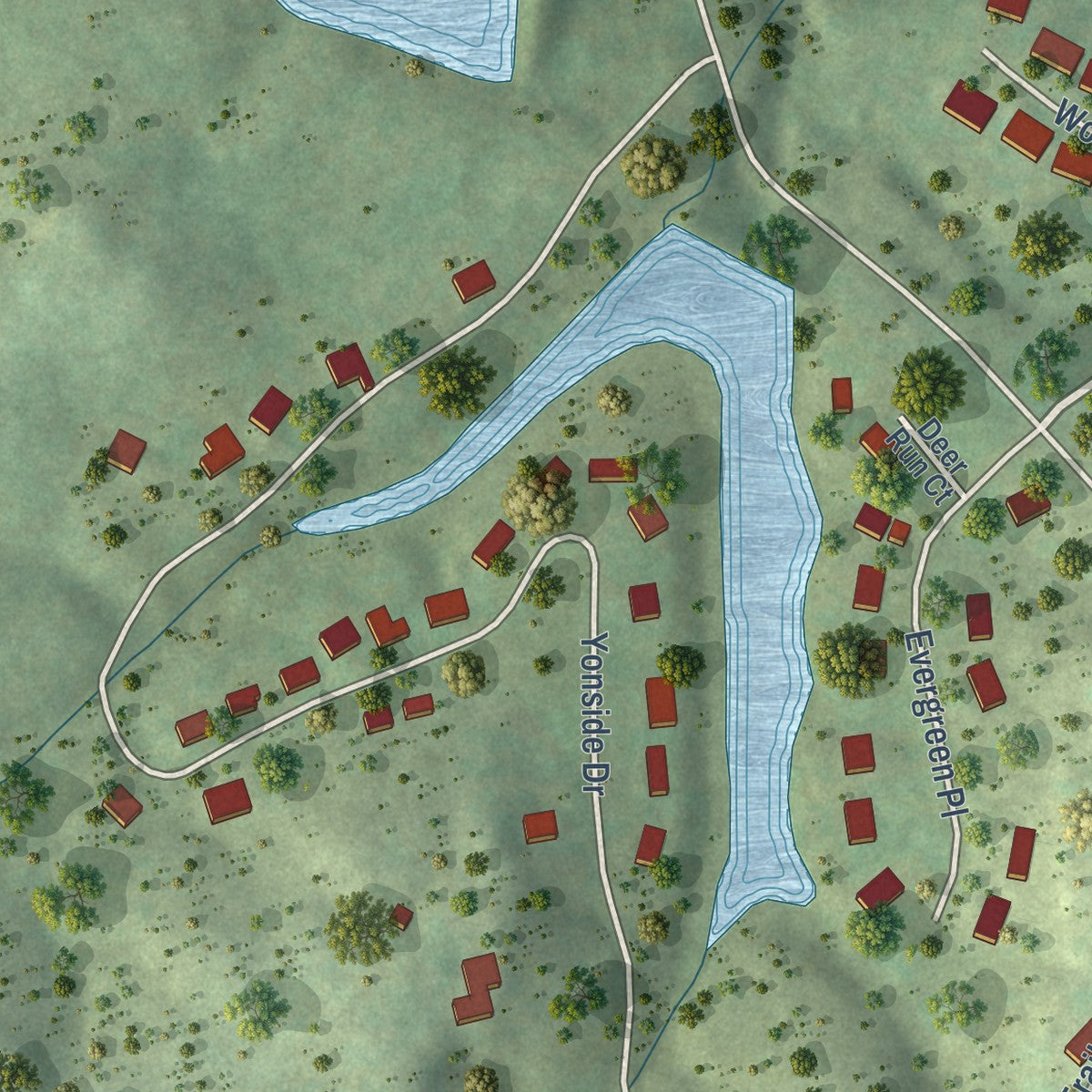 Second close-up of the map of Pleasant Hill, Tennessee print showing more streets and buildings