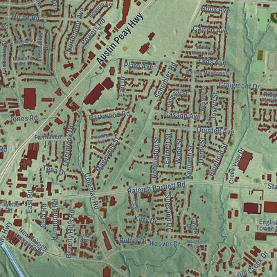 Close-up of the map of Raleigh, Tennessee print showing street and building detail