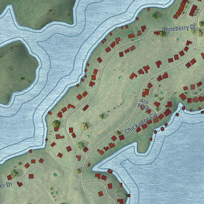 Close-up of the map of Rarity Bay, Tennessee print showing street and building detail