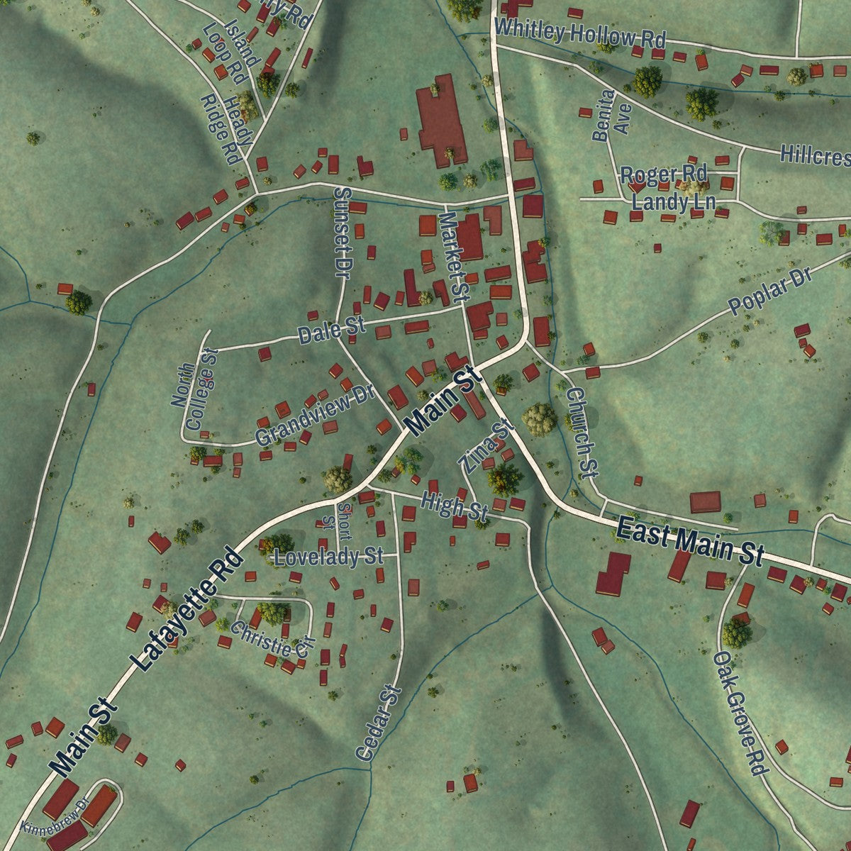 Close-up of the map of Red Boiling Springs, Tennessee print showing street and building detail
