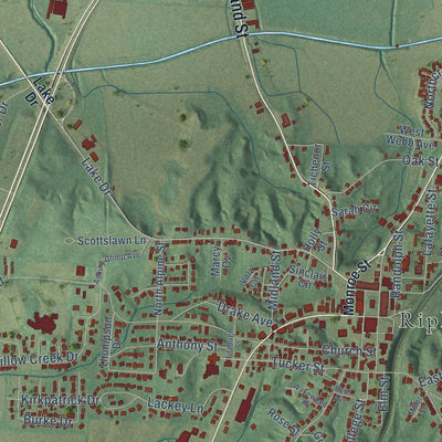 Close-up of the map of Ripley, Tennessee print showing street and building detail