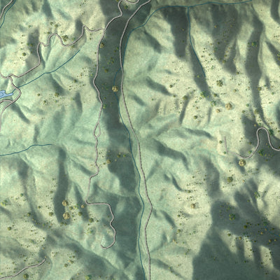 Close-up of the map of Roan Mountain, Tennessee print showing street and building detail