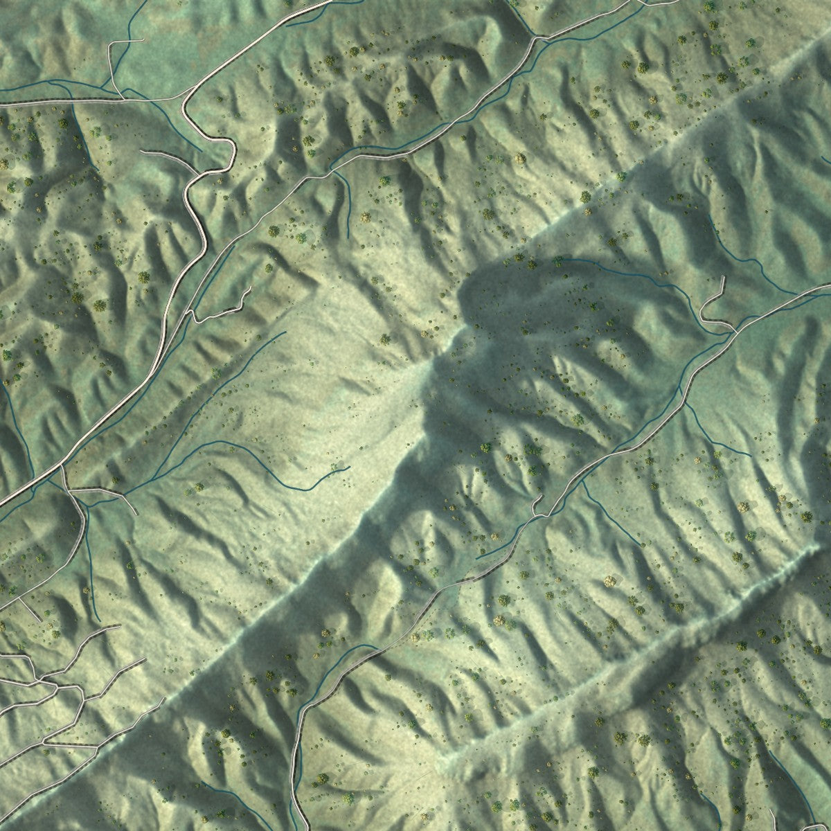 Close-up of the map of Rogersville, Tennessee print showing street and building detail