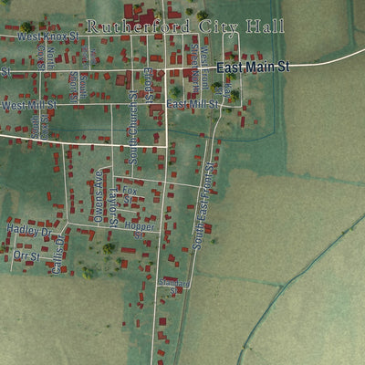 Close-up of the map of Rutherford, Tennessee print showing street and building detail