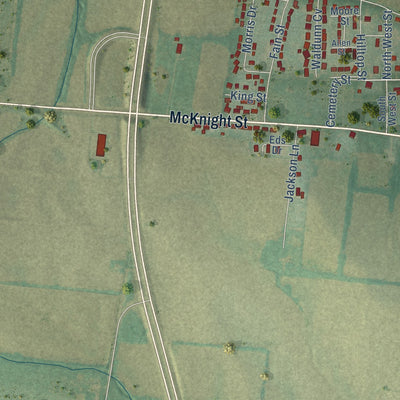 Second close-up of the map of Rutherford, Tennessee print showing more streets and buildings