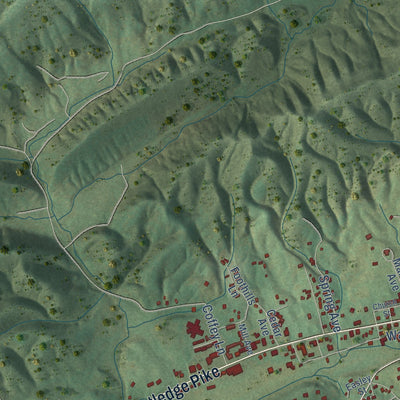 Close-up of the map of Rutledge, Tennessee print showing street and building detail