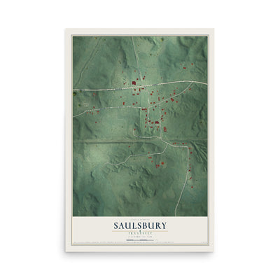 Map of Saulsbury, Tennessee, 12 x 18 inch unframed archival matte print