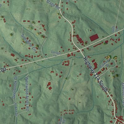 Close-up of the map of Scotts Hill, Tennessee print showing street and building detail