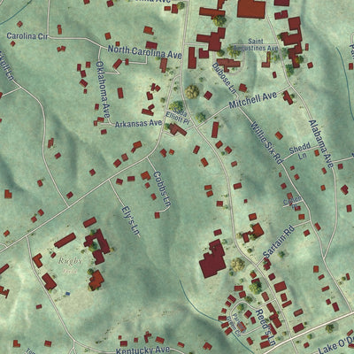 Close-up of the map of Sewanee, Tennessee print showing street and building detail