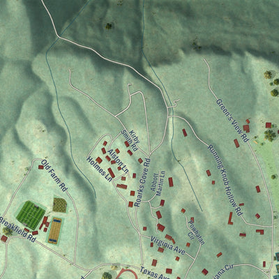 Second close-up of the map of Sewanee, Tennessee print showing more streets and buildings