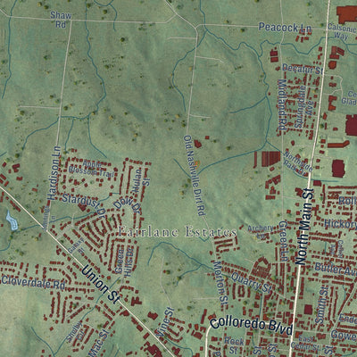 Second close-up of the map of Shelbyville, Tennessee print showing more streets and buildings