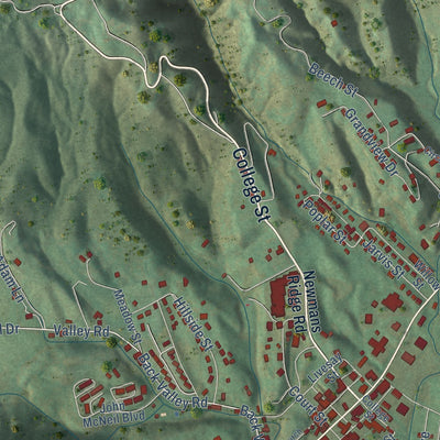 Close-up of the map of Sneedville, Tennessee print showing street and building detail