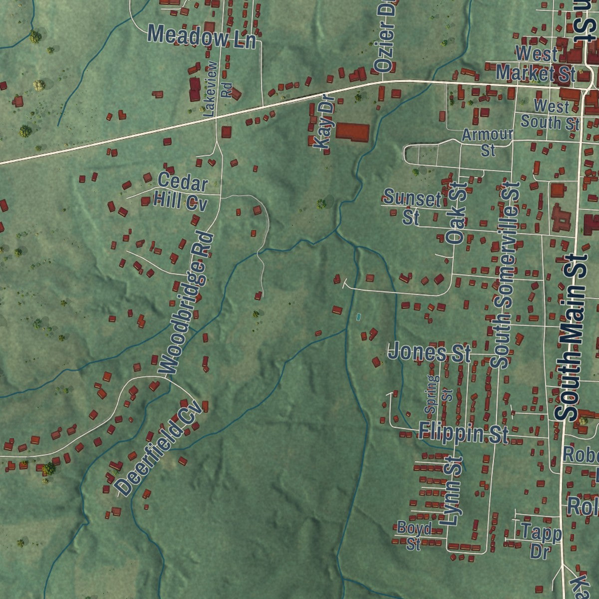 Close-up of the map of Somerville, Tennessee print showing street and building detail