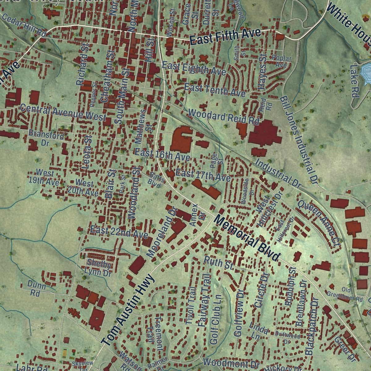 Close-up of the map of Springfield, Tennessee print showing street and building detail