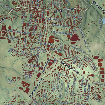 Close-up of the map of Springfield, Tennessee print showing street and building detail