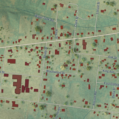 Close-up of the map of Summertown, Tennessee print showing street and building detail